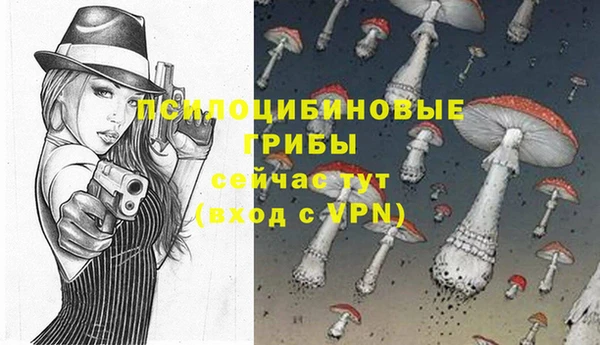 эйфоретик Вязьма