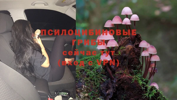 экстази Вяземский