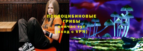 2c-b Вязники