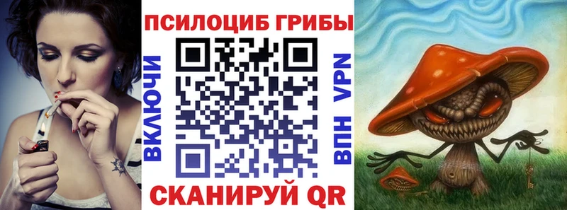 Купить где  Энгельс  Галлюциногенные грибы мицелий 